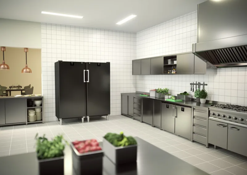 Frigider pentru gastronomie FRFBvg 5501 Perfection Liebherr - Image 6