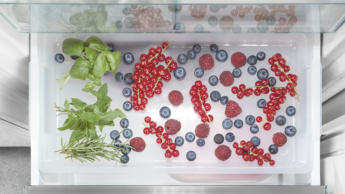 Tavă de congelator