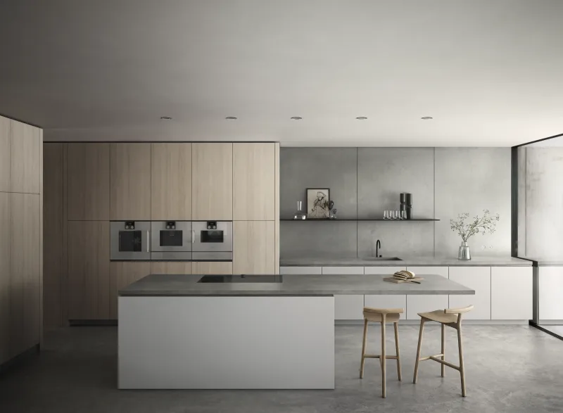 Cuptor cu abur seria 200, 60 x 45 cm, balama ușă: stânga, Gaggenau Metallic Gaggenau - Image 4