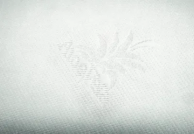 Față de pernă Aloe Bianco