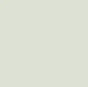 Light grey RAL 9002