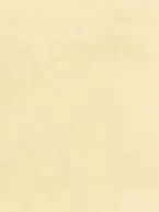 MOLESKIN CHAMPAGNE