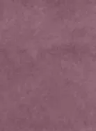 MOLESKIN GRAPE