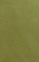 MOLESKIN LIME