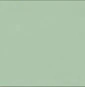 P8L MATT THYME GREEN