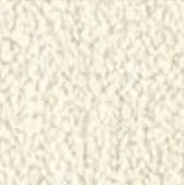 T3B IVORY
