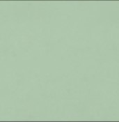 P8L MATT THYME GREEN